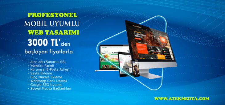 Gazipaşa Web Tasarım Firması